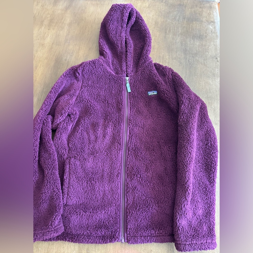 EUC Patagonia Kids Los Gatos Fleece Hoody size XXL/16-18 - Picture 2 of 5